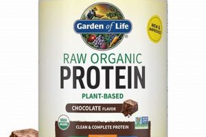Fuel Your Gains: Vegan Protein Chocolate Power Up Discover Delicious Vegan Food, Beauty Swaps, and Zero-Waste Tips for a Greener Life Fuel Your Gains: Vegan Protein Chocolate Power Up | Discover Delicious Vegan Food, Beauty Swaps, and Zero-Waste Tips for a Greener Life