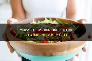 Stop Vegan Diet Gas: Easy Fixes + Tips Discover Delicious Vegan Food, Beauty Swaps, and Zero-Waste Tips for a Greener Life Stop Vegan Diet Gas: Easy Fixes + Tips | Discover Delicious Vegan Food, Beauty Swaps, and Zero-Waste Tips for a Greener Life