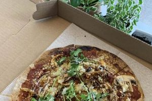 Best Vegan Pizza Montclair: A Complete Guide Discover Delicious Vegan Food, Beauty Swaps, and Zero-Waste Tips for a Greener Life Best Vegan Pizza Montclair: A Complete Guide | Discover Delicious Vegan Food, Beauty Swaps, and Zero-Waste Tips for a Greener Life