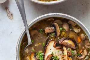 Top Vegan Mushroom Soup Canned Finds: Your Guide! Discover Delicious Vegan Food, Beauty Swaps, and Zero-Waste Tips for a Greener Life Top Vegan Mushroom Soup Canned Finds: Your Guide! | Discover Delicious Vegan Food, Beauty Swaps, and Zero-Waste Tips for a Greener Life