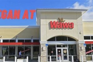 Guide to Vegan Options at Wawa: Your [Diet] Choices | Discover Delicious Vegan Food, Beauty Swaps, and Zero-Waste Tips for a Greener Life
