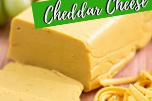 Guide: Where to Find Vegan Cheese Near You + Brands Discover Delicious Vegan Food, Beauty Swaps, and Zero-Waste Tips for a Greener Life Guide: Where to Find Vegan Cheese Near You + Brands | Discover Delicious Vegan Food, Beauty Swaps, and Zero-Waste Tips for a Greener Life