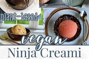 Make Vegan Ice Cream Ninja Creami Recipes - Easy & Delicious! Discover Delicious Vegan Food, Beauty Swaps, and Zero-Waste Tips for a Greener Life Make Vegan Ice Cream Ninja Creami Recipes - Easy & Delicious! | Discover Delicious Vegan Food, Beauty Swaps, and Zero-Waste Tips for a Greener Life