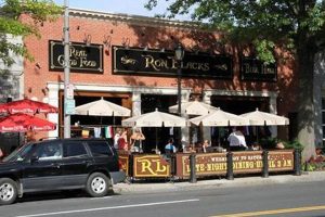 Guide to Vegan Restaurants in White Plains, NY Near You Discover Delicious Vegan Food, Beauty Swaps, and Zero-Waste Tips for a Greener Life Guide to Vegan Restaurants in White Plains, NY Near You | Discover Delicious Vegan Food, Beauty Swaps, and Zero-Waste Tips for a Greener Life