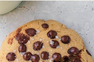 Boost Your Day: Vegan Protein Cookie Power! Discover Delicious Vegan Food, Beauty Swaps, and Zero-Waste Tips for a Greener Life Boost Your Day: Vegan Protein Cookie Power! | Discover Delicious Vegan Food, Beauty Swaps, and Zero-Waste Tips for a Greener Life