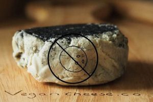 Coconut-Free: The Best Vegan Cheese Without Coconut Oil Discover Delicious Vegan Food, Beauty Swaps, and Zero-Waste Tips for a Greener Life Coconut-Free: The Best Vegan Cheese Without Coconut Oil | Discover Delicious Vegan Food, Beauty Swaps, and Zero-Waste Tips for a Greener Life