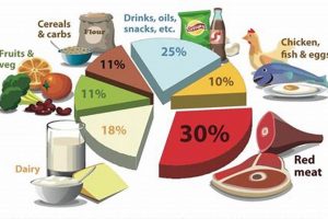 Vegan Diet Gas: Causes, Relief & Prevention Tips Discover Delicious Vegan Food, Beauty Swaps, and Zero-Waste Tips for a Greener Life Vegan Diet Gas: Causes, Relief & Prevention Tips | Discover Delicious Vegan Food, Beauty Swaps, and Zero-Waste Tips for a Greener Life