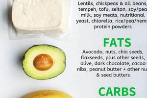 Unlock Your Best Body: Vegan Macro Meal Plan Guide Discover Delicious Vegan Food, Beauty Swaps, and Zero-Waste Tips for a Greener Life Unlock Your Best Body: Vegan Macro Meal Plan Guide | Discover Delicious Vegan Food, Beauty Swaps, and Zero-Waste Tips for a Greener Life
