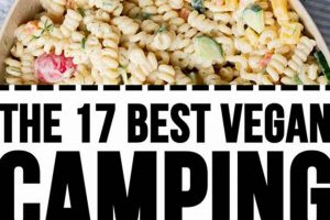 Easy Vegan Camping Menu: Recipes & Meal Ideas Discover Delicious Vegan Food, Beauty Swaps, and Zero-Waste Tips for a Greener Life Easy Vegan Camping Menu: Recipes & Meal Ideas | Discover Delicious Vegan Food, Beauty Swaps, and Zero-Waste Tips for a Greener Life