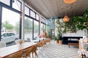 Best Vegan Bakery in Omaha, NE: Sweet Treats! Discover Delicious Vegan Food, Beauty Swaps, and Zero-Waste Tips for a Greener Life Best Vegan Bakery in Omaha, NE: Sweet Treats! | Discover Delicious Vegan Food, Beauty Swaps, and Zero-Waste Tips for a Greener Life