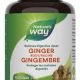 The Vegan Power of Ginger Root: Benefits & Uses | Discover Delicious Vegan Food, Beauty Swaps, and Zero-Waste Tips for a Greener Life