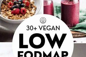 Easy Vegan FODMAP Diet Recipes: Gut-Friendly & Delicious! Discover Delicious Vegan Food, Beauty Swaps, and Zero-Waste Tips for a Greener Life Easy Vegan FODMAP Diet Recipes: Gut-Friendly & Delicious! | Discover Delicious Vegan Food, Beauty Swaps, and Zero-Waste Tips for a Greener Life