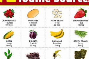 Vegan Power: Iodine Foods Vegan Guide + Recipes Discover Delicious Vegan Food, Beauty Swaps, and Zero-Waste Tips for a Greener Life Vegan Power: Iodine Foods Vegan Guide + Recipes | Discover Delicious Vegan Food, Beauty Swaps, and Zero-Waste Tips for a Greener Life