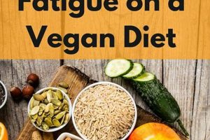 Vegan Diet Fatigue: Causes, Cures & Energy Boost! Discover Delicious Vegan Food, Beauty Swaps, and Zero-Waste Tips for a Greener Life Vegan Diet Fatigue: Causes, Cures & Energy Boost! | Discover Delicious Vegan Food, Beauty Swaps, and Zero-Waste Tips for a Greener Life