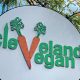 Best Lakewood Vegan Restaurants: Your Plant-Based Guide | Discover Delicious Vegan Food, Beauty Swaps, and Zero-Waste Tips for a Greener Life