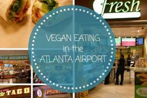 Guide: Atlanta Airport Vegan Food Options For Travelers Discover Delicious Vegan Food, Beauty Swaps, and Zero-Waste Tips for a Greener Life Guide: Atlanta Airport Vegan Food Options For Travelers | Discover Delicious Vegan Food, Beauty Swaps, and Zero-Waste Tips for a Greener Life