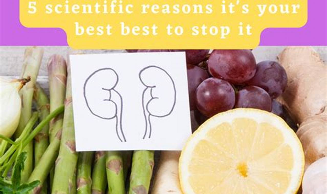 Vegan Diet & Kidney Disease: Can It Reverse? Discover Delicious Vegan Food, Beauty Swaps, and Zero-Waste Tips for a Greener Life Vegan Diet & Kidney Disease: Can It Reverse? | Discover Delicious Vegan Food, Beauty Swaps, and Zero-Waste Tips for a Greener Life