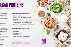 Vegan Diet Macros: A Simple Guide for Optimal Nutrition Discover Delicious Vegan Food, Beauty Swaps, and Zero-Waste Tips for a Greener Life Vegan Diet Macros: A Simple Guide for Optimal Nutrition | Discover Delicious Vegan Food, Beauty Swaps, and Zero-Waste Tips for a Greener Life