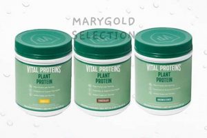 Boost with Vegan: Vital Proteins Vegan Power! Discover Delicious Vegan Food, Beauty Swaps, and Zero-Waste Tips for a Greener Life Boost with Vegan: Vital Proteins Vegan Power! | Discover Delicious Vegan Food, Beauty Swaps, and Zero-Waste Tips for a Greener Life