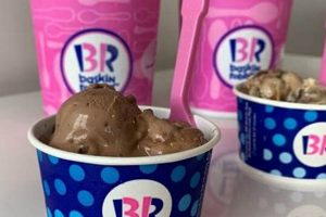 The Ultimate Guide to Baskin Robbins Vegan Ice Cream [2024] | Discover Delicious Vegan Food, Beauty Swaps, and Zero-Waste Tips for a Greener Life