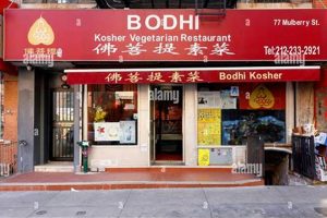 Guide to Vegan Restaurants in Chinatown NYC Foodie Discover Delicious Vegan Food, Beauty Swaps, and Zero-Waste Tips for a Greener Life Guide to Vegan Restaurants in Chinatown NYC Foodie | Discover Delicious Vegan Food, Beauty Swaps, and Zero-Waste Tips for a Greener Life