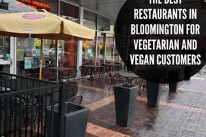 Guide to the Best Vegan Restaurants in Bloomington, IL (2024) Discover Delicious Vegan Food, Beauty Swaps, and Zero-Waste Tips for a Greener Life Guide to the Best Vegan Restaurants in Bloomington, IL (2024) | Discover Delicious Vegan Food, Beauty Swaps, and Zero-Waste Tips for a Greener Life