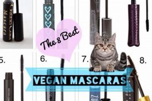 The Ethical Choice: Best Vegan Mascara of [Year] + Tips | Discover Delicious Vegan Food, Beauty Swaps, and Zero-Waste Tips for a Greener Life