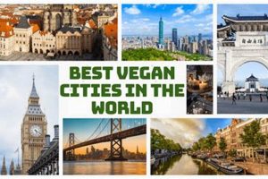 Discover: Best Vegan Cities in the World (Guide) Discover Delicious Vegan Food, Beauty Swaps, and Zero-Waste Tips for a Greener Life Discover: Best Vegan Cities in the World (Guide) | Discover Delicious Vegan Food, Beauty Swaps, and Zero-Waste Tips for a Greener Life