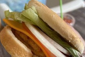Your Guide to Vegan Restaurants in Ypsilanti, MI Discover Delicious Vegan Food, Beauty Swaps, and Zero-Waste Tips for a Greener Life Your Guide to Vegan Restaurants in Ypsilanti, MI | Discover Delicious Vegan Food, Beauty Swaps, and Zero-Waste Tips for a Greener Life