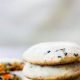 Spooky & Vegan: Best Vegan Halloween Cookies Recipes! | Discover Delicious Vegan Food, Beauty Swaps, and Zero-Waste Tips for a Greener Life