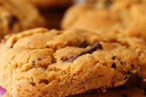 Best Vegan Chocolate Chip Peanut Butter Cookies Recipe! Discover Delicious Vegan Food, Beauty Swaps, and Zero-Waste Tips for a Greener Life Best Vegan Chocolate Chip Peanut Butter Cookies Recipe! | Discover Delicious Vegan Food, Beauty Swaps, and Zero-Waste Tips for a Greener Life