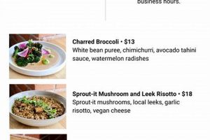 Your Guide to Delicious Vegan Food in Kalamazoo, MI Discover Delicious Vegan Food, Beauty Swaps, and Zero-Waste Tips for a Greener Life Your Guide to Delicious Vegan Food in Kalamazoo, MI | Discover Delicious Vegan Food, Beauty Swaps, and Zero-Waste Tips for a Greener Life
