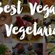 Discover the Best NYC Vegan: Top Plant-Based Eats! | Discover Delicious Vegan Food, Beauty Swaps, and Zero-Waste Tips for a Greener Life