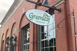 Your Guide to Vegan Restaurants in Nashua, NH Today Discover Delicious Vegan Food, Beauty Swaps, and Zero-Waste Tips for a Greener Life Your Guide to Vegan Restaurants in Nashua, NH Today | Discover Delicious Vegan Food, Beauty Swaps, and Zero-Waste Tips for a Greener Life