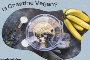 Fuel Your Gains: Vegan Creatine for Plant-Powered Strength Discover Delicious Vegan Food, Beauty Swaps, and Zero-Waste Tips for a Greener Life Fuel Your Gains: Vegan Creatine for Plant-Powered Strength | Discover Delicious Vegan Food, Beauty Swaps, and Zero-Waste Tips for a Greener Life