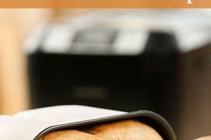 Easy Vegan Bread Recipe for Bread Machine: Bake Delicious Bread Discover Delicious Vegan Food, Beauty Swaps, and Zero-Waste Tips for a Greener Life Easy Vegan Bread Recipe for Bread Machine: Bake Delicious Bread | Discover Delicious Vegan Food, Beauty Swaps, and Zero-Waste Tips for a Greener Life