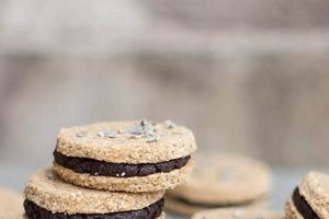 Delightful Vegan Sandwich Cookies: Recipes & Tips Discover Delicious Vegan Food, Beauty Swaps, and Zero-Waste Tips for a Greener Life Delightful Vegan Sandwich Cookies: Recipes & Tips | Discover Delicious Vegan Food, Beauty Swaps, and Zero-Waste Tips for a Greener Life