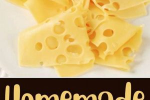 Try Delicious Swiss Vegan Cheese: Dairy-Free & Amazing! Discover Delicious Vegan Food, Beauty Swaps, and Zero-Waste Tips for a Greener Life Try Delicious Swiss Vegan Cheese: Dairy-Free & Amazing! | Discover Delicious Vegan Food, Beauty Swaps, and Zero-Waste Tips for a Greener Life