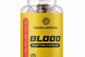 Power Up: Vegan Life Moss Benefits + Recipes! Discover Delicious Vegan Food, Beauty Swaps, and Zero-Waste Tips for a Greener Life Power Up: Vegan Life Moss Benefits + Recipes! | Discover Delicious Vegan Food, Beauty Swaps, and Zero-Waste Tips for a Greener Life
