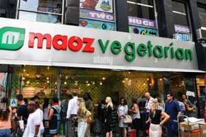 NYC's Best Indian Vegan Restaurant: A Plant-Based Paradise Discover Delicious Vegan Food, Beauty Swaps, and Zero-Waste Tips for a Greener Life NYC's Best Indian Vegan Restaurant: A Plant-Based Paradise | Discover Delicious Vegan Food, Beauty Swaps, and Zero-Waste Tips for a Greener Life