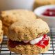 Easy Vegan Gluten-Free Scones {Recipe} | Discover Delicious Vegan Food, Beauty Swaps, and Zero-Waste Tips for a Greener Life