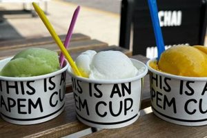 NJ Vegan Ice Cream: Dairy-Free Delight in New Jersey Discover Delicious Vegan Food, Beauty Swaps, and Zero-Waste Tips for a Greener Life NJ Vegan Ice Cream: Dairy-Free Delight in New Jersey | Discover Delicious Vegan Food, Beauty Swaps, and Zero-Waste Tips for a Greener Life