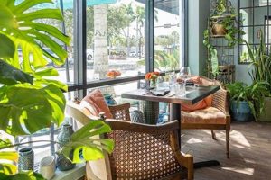 Sarasota Vegan Restaurants: Your Plant-Based Guide Discover Delicious Vegan Food, Beauty Swaps, and Zero-Waste Tips for a Greener Life Sarasota Vegan Restaurants: Your Plant-Based Guide | Discover Delicious Vegan Food, Beauty Swaps, and Zero-Waste Tips for a Greener Life