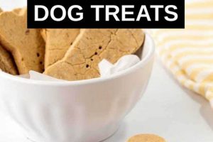 Best Vegan Dog Treats: Healthy & Delicious Discover Delicious Vegan Food, Beauty Swaps, and Zero-Waste Tips for a Greener Life Best Vegan Dog Treats: Healthy & Delicious | Discover Delicious Vegan Food, Beauty Swaps, and Zero-Waste Tips for a Greener Life