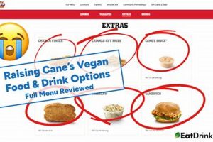 Vegan Guide: The Best Options at Cane's (2024) Discover Delicious Vegan Food, Beauty Swaps, and Zero-Waste Tips for a Greener Life Vegan Guide: The Best Options at Cane's (2024) | Discover Delicious Vegan Food, Beauty Swaps, and Zero-Waste Tips for a Greener Life