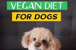 Easy Vegan Diet for Dogs Recipes: Healthy & Delicious Discover Delicious Vegan Food, Beauty Swaps, and Zero-Waste Tips for a Greener Life Easy Vegan Diet for Dogs Recipes: Healthy & Delicious | Discover Delicious Vegan Food, Beauty Swaps, and Zero-Waste Tips for a Greener Life