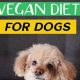 Easy Vegan Diet for Dogs Recipes: Healthy & Delicious | Discover Delicious Vegan Food, Beauty Swaps, and Zero-Waste Tips for a Greener Life