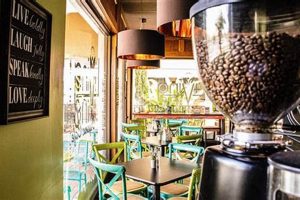 Find: Vegan Restaurants in Fort Myers, FL + Guide Discover Delicious Vegan Food, Beauty Swaps, and Zero-Waste Tips for a Greener Life Find: Vegan Restaurants in Fort Myers, FL + Guide | Discover Delicious Vegan Food, Beauty Swaps, and Zero-Waste Tips for a Greener Life