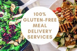 Get Vegan Gluten Free Meal Delivery + More! Discover Delicious Vegan Food, Beauty Swaps, and Zero-Waste Tips for a Greener Life Get Vegan Gluten Free Meal Delivery + More! | Discover Delicious Vegan Food, Beauty Swaps, and Zero-Waste Tips for a Greener Life