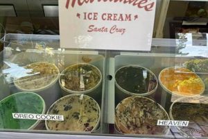 Indulge in the Best Vegan Ice Cream Santa Cruz Offers Discover Delicious Vegan Food, Beauty Swaps, and Zero-Waste Tips for a Greener Life Indulge in the Best Vegan Ice Cream Santa Cruz Offers | Discover Delicious Vegan Food, Beauty Swaps, and Zero-Waste Tips for a Greener Life